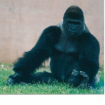 SILVERBACK-GORILLA FREISTEHENDE FOTOSKULPTUR<br><div class="desc">SILVERBACK-GORILLA</div>