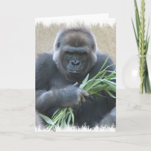 Silverback Gorilla Grußkarte Karte (Vorderseite)