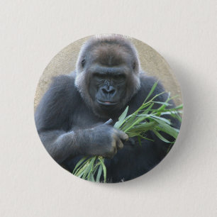Silverback-Gorilla-Knopf Button
