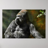 SILVERBACK GORILLA LEADER POSTER (Vorne)