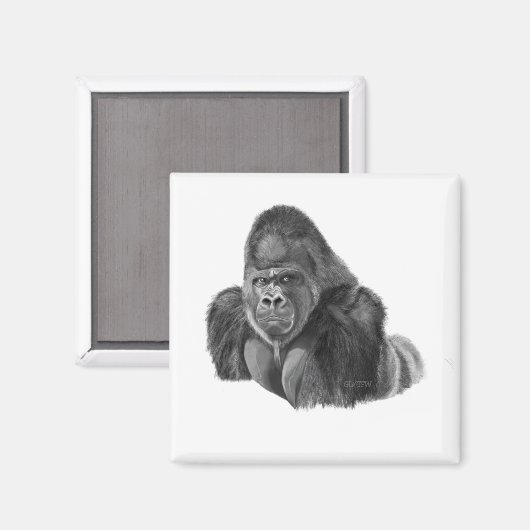 Silverback Gorilla Magnet ゴリラのマグネット (Vorderseite/Rückseite)