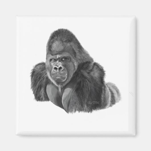 Silverback Gorilla Magnet ゴリラのマグネット (Vorne)