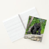 Silverback Gorilla Notebook, 8.5 x 11 + Notizblock (Innenseite)