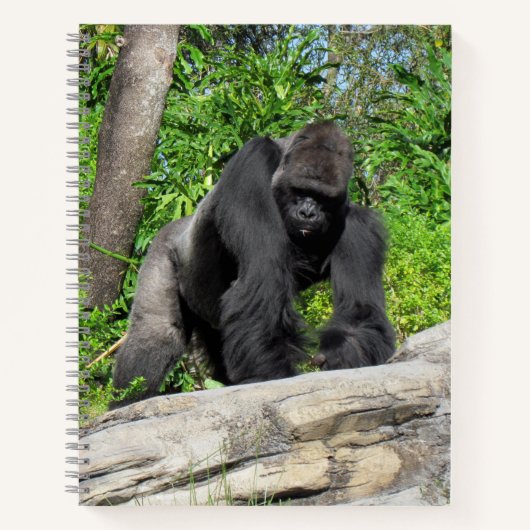 Silverback Gorilla Notebook, 8.5 x 11 + Notizblock (Vorderseite)