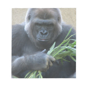 Silverback-Gorilla-Notizblock Notizblock