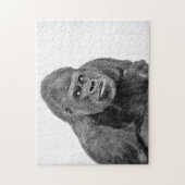 Silverback Gorilla Portrait, Jigsaw Puzzle (Vertikal)