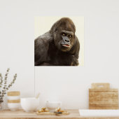Silverback Gorilla-Portrait Poster (Küche)