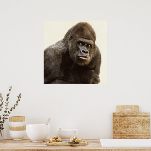 Silverback Gorilla-Portrait Poster (Küche)