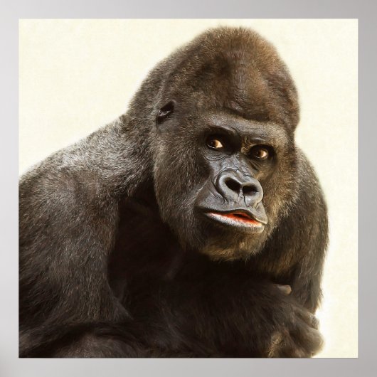 Silverback Gorilla-Portrait Poster (Vorne)