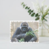 Silverback Gorilla Postcard Postkarte (Stehend Vorderseite)