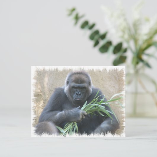 Silverback Gorilla Postcard Postkarte (Stehend Vorderseite)