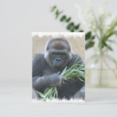 Silverback Gorilla Postcard Postkarte (Stehend Vorderseite)