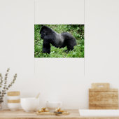 Silverback Gorilla Poster (Küche)