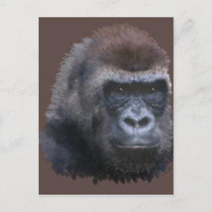Silverback Gorilla Postkarte