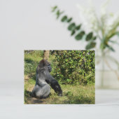 Silverback Gorilla Postkarte (Stehend Vorderseite)