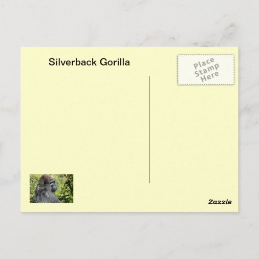 Silverback Gorilla Postkarte (Rückseite)