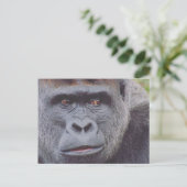 Silverback Gorilla Postkarte (Stehend Vorderseite)