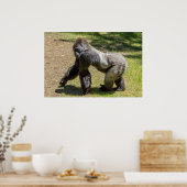 Silverback Gorilla Print Poster (Küche)