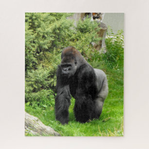 Silverback Gorilla Puzzle