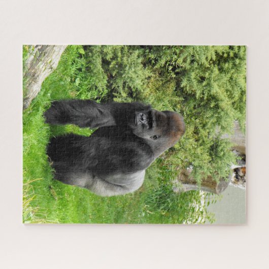 Silverback Gorilla Puzzle (Horizontal)