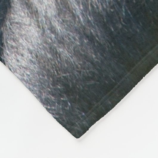 Silverback Gorilla und sein Deckblatt Fleecedecke (Ecke)