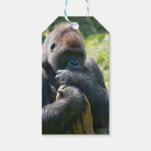 Silverback Gorilla und sein Deckblatt Geschenkanhänger