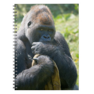 Silverback Gorilla und sein Deckblatt Notizblock