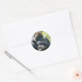 Silverback Gorilla und sein Deckblatt Runder Aufkleber (Umschlag)