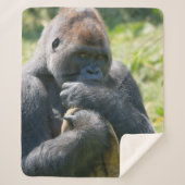 Silverback Gorilla und sein Deckblatt Sherpadecke (Vorderseite)