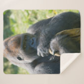 Silverback Gorilla und sein Deckblatt Sherpadecke (Vorderseite (Horizontal))