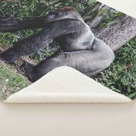 SILVERBACK GORILLOA SHERPADECKE (3/4)