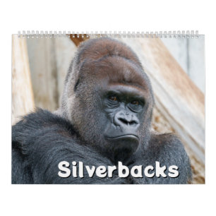Silverback-Kalender 2026 Kalender