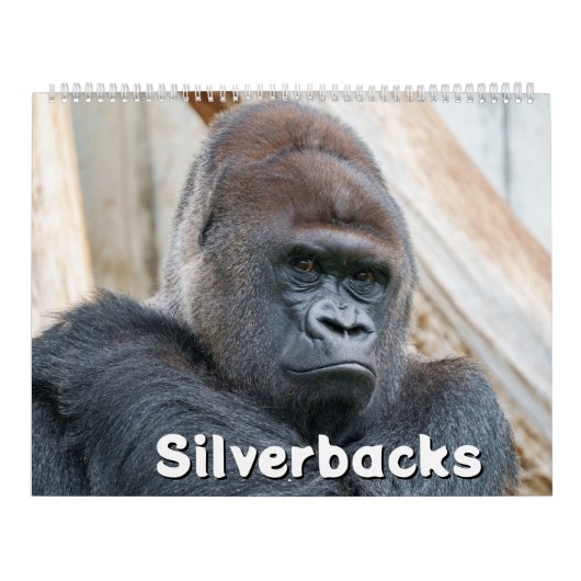 Silverback-Kalender 2026 Kalender (Titelbild)