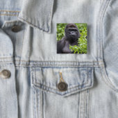 Silverback Lowland Gorilla, Gorilla Gorilla, Button (Beispiel)