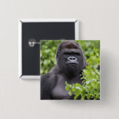 Silverback Lowland Gorilla, Gorilla Gorilla, Button (Vorne & Hinten)