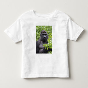 Silverback Lowland Gorilla, Gorilla Gorilla, Kleinkind T-shirt