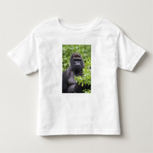 Silverback Lowland Gorilla, Gorilla Gorilla, Kleinkind T-shirt (Vorderseite)
