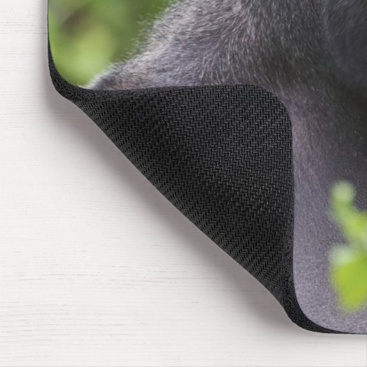 Silverback Lowland Gorilla, Gorilla Gorilla, Mousepad (Ecke)