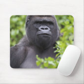 Silverback Lowland Gorilla, Gorilla Gorilla, Mousepad (Mit Mouse)