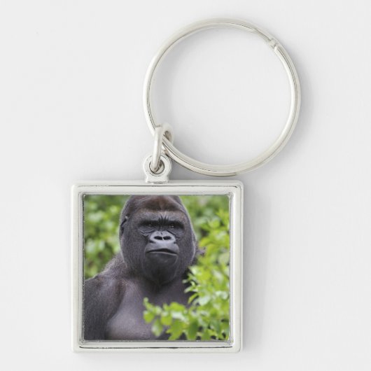 Silverback Lowland Gorilla, Gorilla Gorilla, Schlüsselanhänger (Vorne)