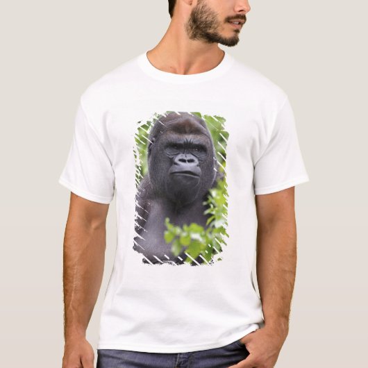 Silverback Lowland Gorilla, Gorilla Gorilla, T-Shirt (Vorderseite)