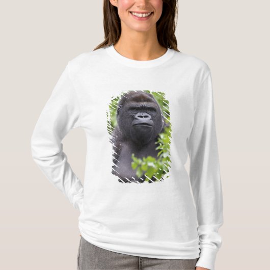 Silverback Lowland Gorilla, Gorilla Gorilla, T-Shirt (Vorderseite)