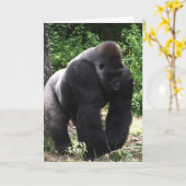 Silverback Male Gorilla geht nach unten Karte (Gelbe Blume)