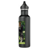 Silverback-männlicher Tiefland-Gorilla-stehendes Edelstahlflasche (Rechts)