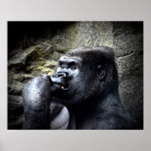 Silverback Mountain Gorilla Denken Poster (Vorne)