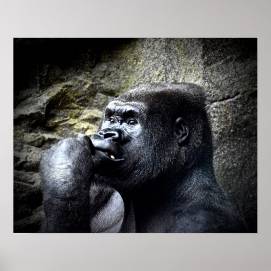 Silverback Mountain Gorilla Denken Poster (Vorne)