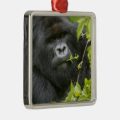 Silverback Mountain Gorilla Ornament Aus Metall (Rechts)