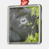 Silverback Mountain Gorilla Ornament Aus Metall (Links)