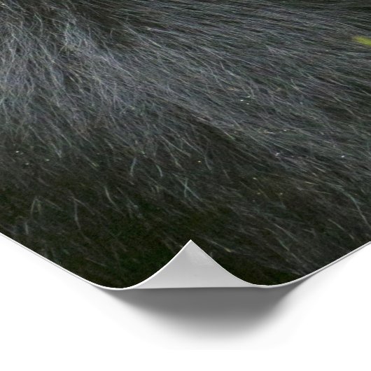 Silverback Mountain Gorilla Poster (Ecke)