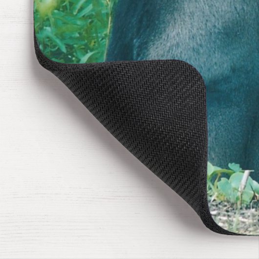 SILVERBACK MOUSEPAD (Ecke)